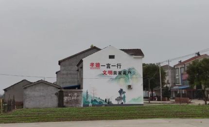 麻城新农村墙绘
